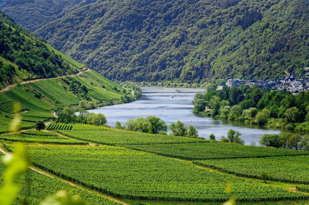 Dieses Bild hat ein leeres Alt-Attribut. Der Dateiname ist Mosel-Fluss-Weinberge-1-1024x681.jpg